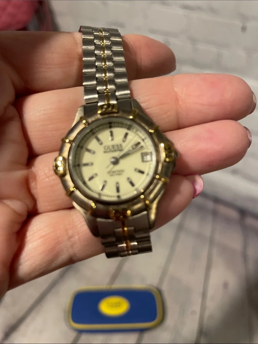 Guess two tone